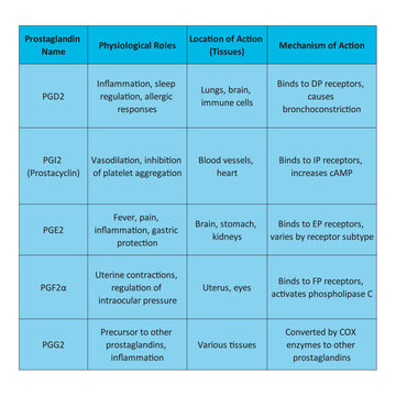 Table showing Prostaglandin Name, Physiological Roles, Mechanism of Action, Location of Action (Tissues)