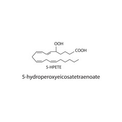 5HPETE, 5-hydroperoxyeicosatetraenoate skeletal structure diagram.prostanoid compound molecule scientific illustration on white background.
