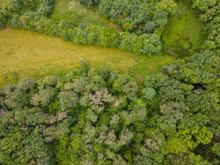 Naturpark Morvan in Frankreich