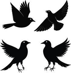 set of black bird silhouettes vector elements vector