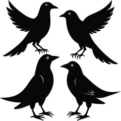 set of black bird silhouettes vector elements vector