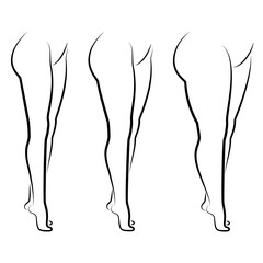 Fototapeta premium Collection. Silhouette of a beautiful female figure, legs. The lady is standing. The girl is thin, slender, and the woman is fat. Set of vector illustrations.