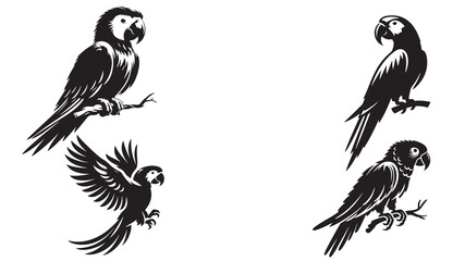 Obraz premium parrot silhouette vector illustration