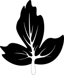 Silhouette of a leaf isolated on white