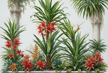 Vivid Color Palette of Dracaena Plants and Other Potted Tropical Plants with a White Background