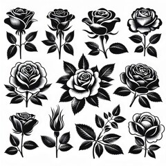 set of rose flowers vector illustration silhouette image icon