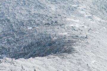 Obraz premium View of the snow-covered mountain