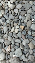 a cold rocky mountain texture map top view.