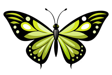 cute butterfly vector artwork illustration,