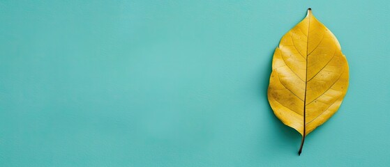Bright yellow leaf on a soft pastel background with ample copyspace