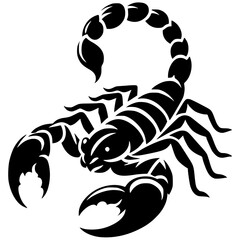 Scorpion design silhouette