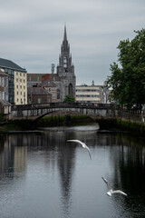 Urban cityscape of Cork city holy trinity church river Lee. Ireland Europe.