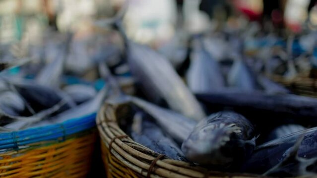 Fish traders who are busy with various trading activities