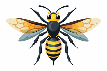 Obraz premium Wasp vector art work and illustration