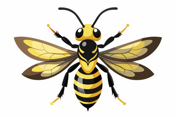 Wasp vector art work and illustration