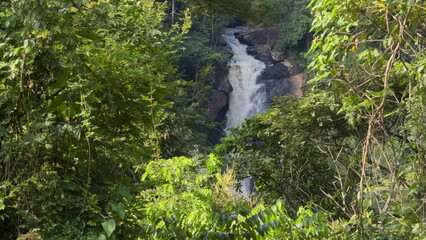 Hidden Waterfall Oasis in Lush Tropical Rainforest
