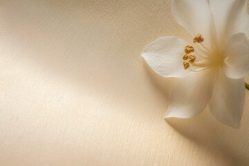 white flower on a wooden background made by midjourney