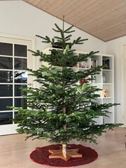 christmas tree in a room