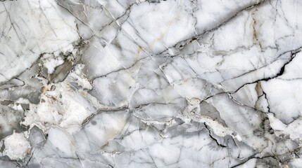 Fototapeta premium Close-up of white marble with intricate veining patterns in gray tones
