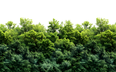 Lush forests capes with green trees and shrubs on transparent background