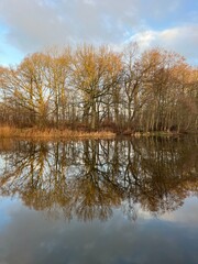 Obraz premium autumn trees reflected in water