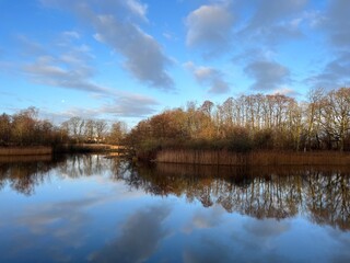autumn trees reflected in water
