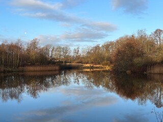 autumn trees reflected in water