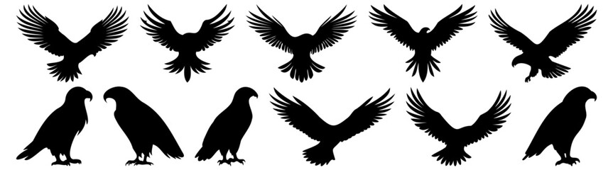 Eagle silhouette set vector design big pack of illustration and icon