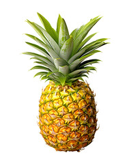 whole pineapple with spiky green leaves.