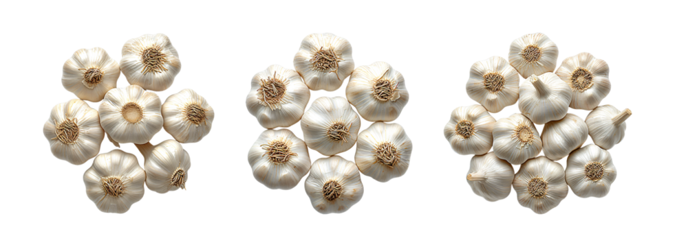 Garlic bulbs arranged in a circular pattern, isolated on a transparent background.