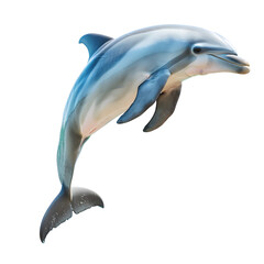 Obraz premium A vibrant illustration of a playful dolphin leaping out of the water, isolated on transparency PNG background, showcasing its grace and agility in a beautiful marine setting.