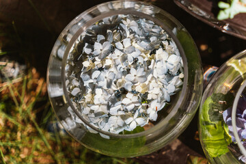 ガラスに入ってる紫陽花