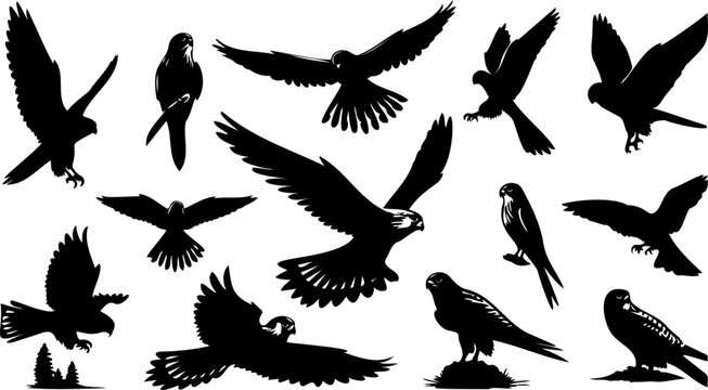 Kestrel Bird of Prey Silhouette Set