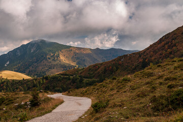 Colors are exploding in the woods of Carnic Alps