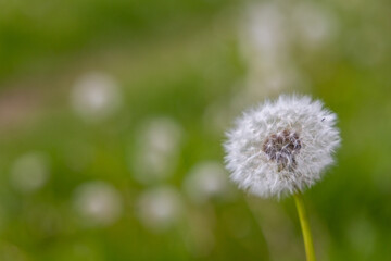 Impressionen aus Hedersleben Landkreis Harz