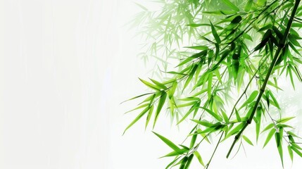 Bamboo on a white back ground, artistic style, 