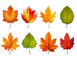 Vibrant Fall Leaves. Vector clip art