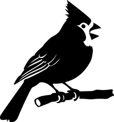 Cardinal Bird Silhouette