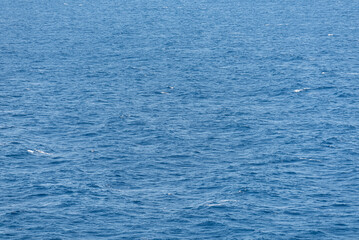 Beautiful photo of the sea waves