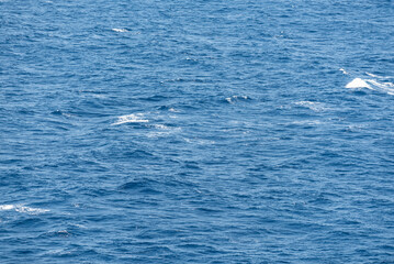 Fototapeta premium Beautiful photo of the sea waves