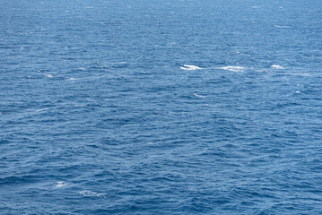 Beautiful photo of the sea waves