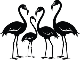 set of flamingo illustration eps 10