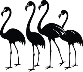 set of flamingo illustration