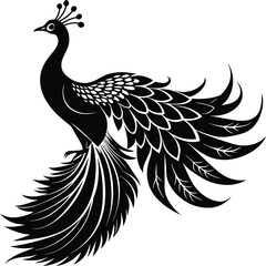 Pretty peacock silhouette cartoon illustration