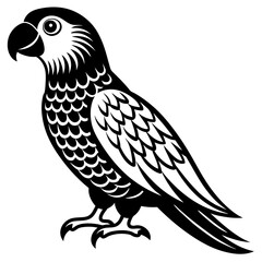 Fototapeta premium parrot on a standing