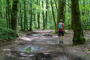 Obraz premium Morvan Naturpark in Frankreich