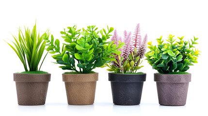 Collection of aromatic herbs in brown flower pot isolated on white background ,Parsley, basil, thyme and rosemary herbs growing in teracotta pots, isolated over white background