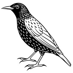 illustration of a bird on a branch