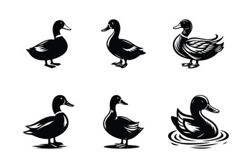 Duck Vector Silhouette Illustration