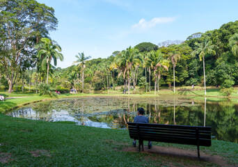 uma pessoa sentada no banco de madeira observando a linda paisagem do lago no parque